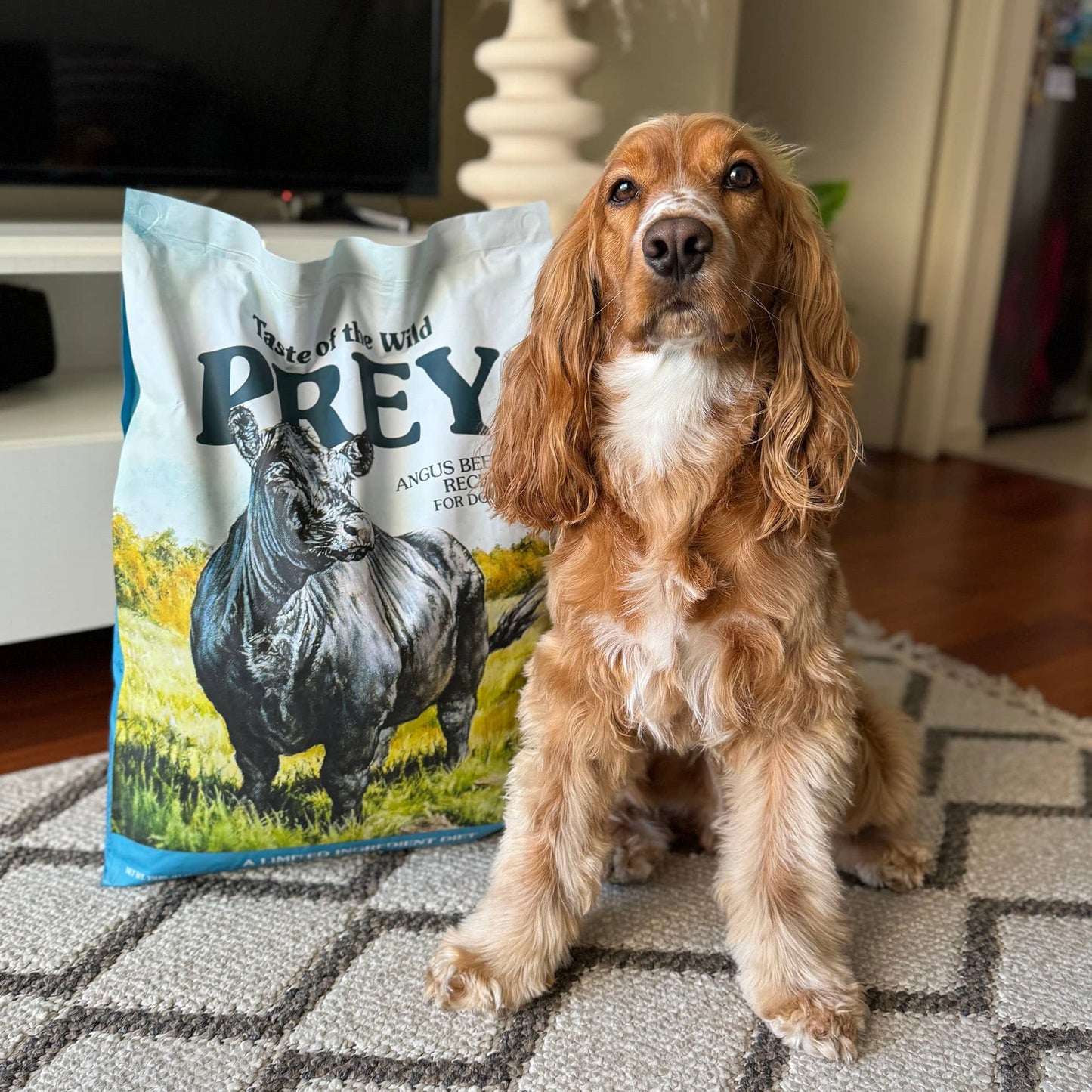 Taste of the Wild ǀ Prey pasji briketi - ANGUS GOVEDINA od Taste of the Wild | Na voljo pri Forapet