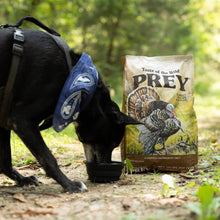 Taste of the Wild ǀ Prey pasji briketi - PURAN od Taste of the Wild | Na voljo pri Forapet