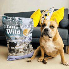Taste of the Wild ǀ Sierra Mountain - JAGNJETINA od Taste of the Wild | Na voljo pri Forapet