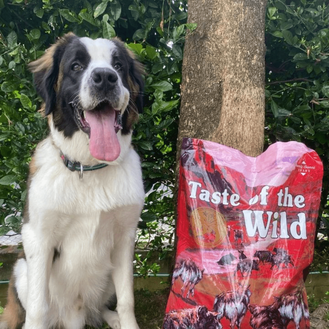 Taste of the Wild ǀ Southwest Canyon - DIVJA SVINJA od Taste of the Wild | Na voljo pri Forapet