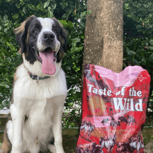 Taste of the Wild ǀ Southwest Canyon - DIVJA SVINJA od Taste of the Wild | Na voljo pri Forapet