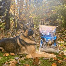 Taste of the Wild ǀ Wetlands - PERUTNINA 12,2 kg od Taste of the Wild | Na voljo pri Forapet